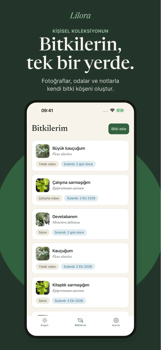 Lilora mağaza görselinde gerçek koleksiyon ekranı ve örnek bitki kayıtları