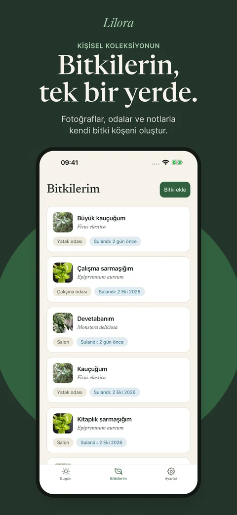 Örnek bitkiler ve oda etiketleriyle Lilora bitki koleksiyonu